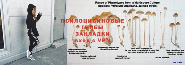 герыч Алзамай
