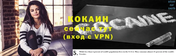 сатива Армянск