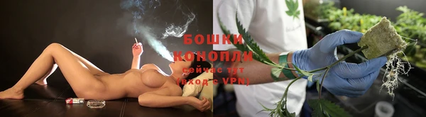 бошки Аркадак