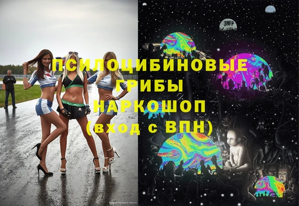 сатива Армянск