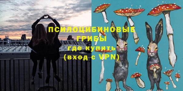 бошки Аркадак