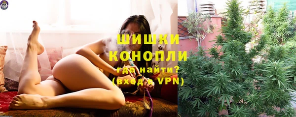 бошки Аркадак