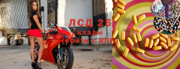 сатива Армянск