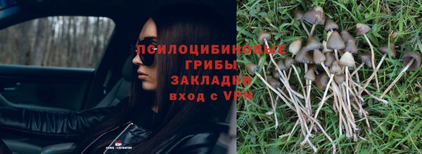 бошки Аркадак