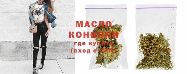 сатива Армянск