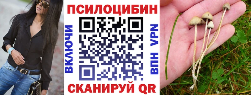 Галлюциногенные грибы GOLDEN TEACHER Луза